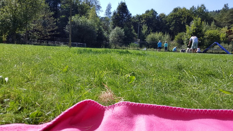 ../Images/20160827_144744.jpg