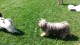 Thumbs/tn_20160827_141045.jpg