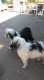 Thumbs/tn_20160827_143822.jpg