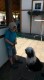 Thumbs/tn_20160827_143936.jpg