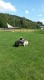 Thumbs/tn_20160827_144245.jpg
