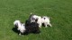 Thumbs/tn_20160827_144254.jpg