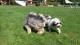 Thumbs/tn_20160827_144301.jpg