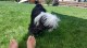 Thumbs/tn_20160827_144314.jpg