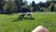 Thumbs/tn_20160827_144331.jpg