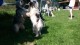 Thumbs/tn_20160827_144628.jpg