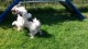 Thumbs/tn_20160827_144654.jpg