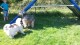 Thumbs/tn_20160827_144659.jpg