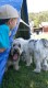 Thumbs/tn_20160827_145403.jpg