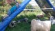 Thumbs/tn_20160827_145910.jpg