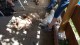 Thumbs/tn_20160827_153542.jpg