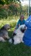 Thumbs/tn_20160827_161757.jpg