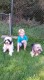 Thumbs/tn_20160827_165333.jpg