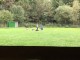 Thumbs/tn_Img_1379.jpg