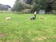 Thumbs/tn_Img_1386.jpg