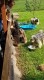 Thumbs/tn_Img_4922.jpg