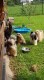Thumbs/tn_Img_4923.jpg
