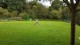 Thumbs/tn_Img_4925.jpg