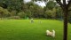 Thumbs/tn_Img_4926.jpg