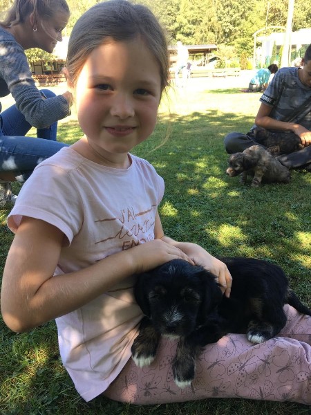 ../Images/welpentreffen-sep-2019-Jenny-S.-01.jpg