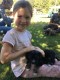 Thumbs/tn_welpentreffen-sep-2019-Jenny-S.-01.jpg