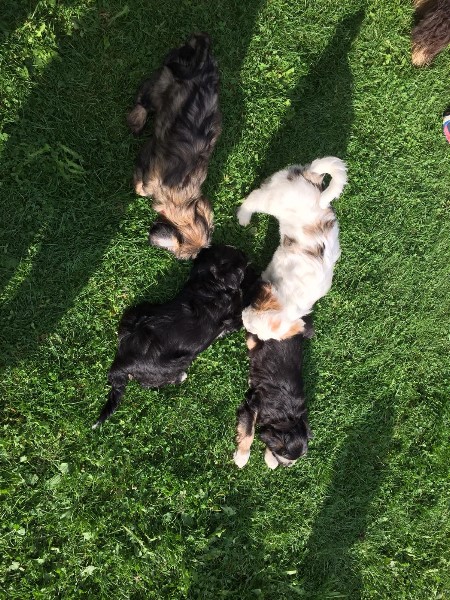 ../Images/a9f92786-58a5-4616-86f9-d29e87674b0d.jpg