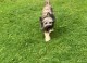 Thumbs/tn_118779409_1651835724991118_5036056169433217621_o.jpg