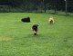 Thumbs/tn_118807657_1651834354991255_212706427704889212_o.jpg