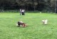 Thumbs/tn_118852268_1651835781657779_6993603861626383779_o.jpg