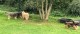 Thumbs/tn_118855548_1651835301657827_6994371767295418417_o.jpg