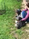 Thumbs/tn_118876824_1651834424991248_9103208002753986844_o.jpg