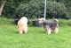 Thumbs/tn_118889113_1651836084991082_5515897419107235694_o.jpg