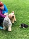 Thumbs/tn_118892787_1651835384991152_8393020407458743942_o.jpg