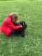 Thumbs/tn_118912482_1651835514991139_1978340067993441690_o.jpg
