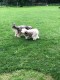 Thumbs/tn_118913699_1651835788324445_136099487834954518_o.jpg