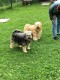 Thumbs/tn_118915399_1651836291657728_7155328636039682551_o.jpg