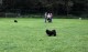 Thumbs/tn_118917791_1651835391657818_8034841414237141327_o.jpg