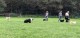 Thumbs/tn_118934184_1651835844991106_4909928845780822004_o.jpg