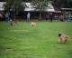 Thumbs/tn_118949256_1651835121657845_4950932957424345744_o.jpg