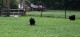 Thumbs/tn_118965699_1651836108324413_4699753278030060168_o.jpg