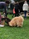 Thumbs/tn_118969694_1651835104991180_8066982099160812113_o.jpg