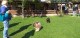 Thumbs/tn_14a9d79f-17df-4eba-8c92-866484fcce48.jpg