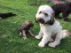 Thumbs/tn_8db0dd40-6133-4dc9-b02d-f935ee4b4bf8.jpg