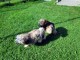 Thumbs/tn_9c9ee5f0-89dd-4a80-8b43-88242f6a580c.jpg