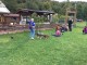 Thumbs/tn_a9f41a2d-60fa-432f-83c4-d3748e382283.jpg