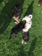 Thumbs/tn_a9f92786-58a5-4616-86f9-d29e87674b0d.jpg