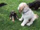 Thumbs/tn_b41a277e-4060-43fa-8f40-b69889364f7b.jpg