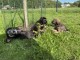 Thumbs/tn_c00400fc-05ff-41a4-b0ad-d30f79bcdb5a.jpg