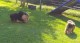 Thumbs/tn_c83c74ae-fffb-4156-a2f9-f7cfcdfbd523.jpg