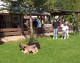 Thumbs/tn_d418d7c6-1b20-432b-9df7-e695882c1f46.jpg